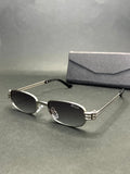 Dior Platinum 02