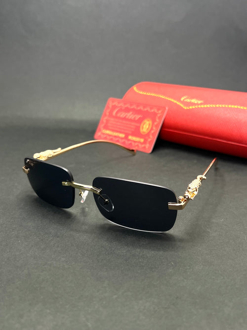 Cartier rimless CT303