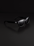 Classic Wayfarer sunglasses